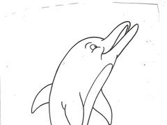 Ausmalbild Delfin