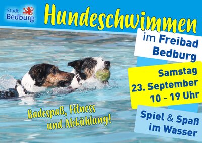 Hundeschwimmen im Bedburger Freibad - Plakat