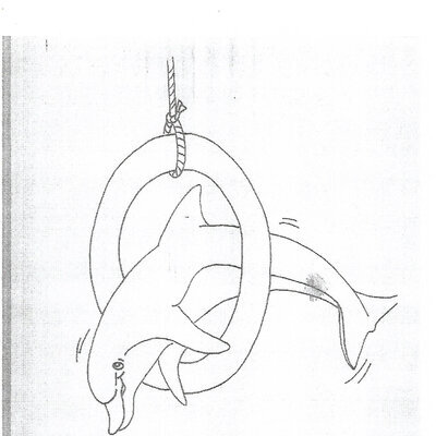 Ausmalbild Delfin springt durch einen Ring