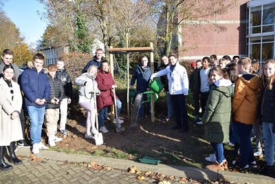 Stadtverwaltung spendet Bäume für das Silverberg-Gymnasium