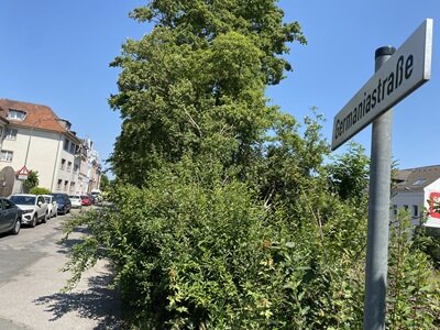 Bedburger Straßenlexikon Teil XVI: Germaniastraße (Lipp)
