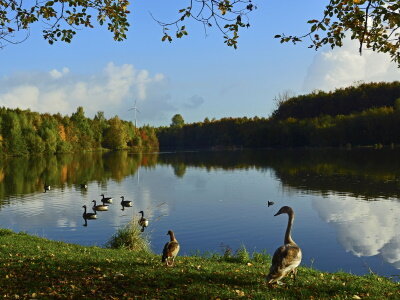 Am Kasterer See im Herbst_400x300