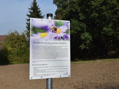 Neue Blühwiesen in Königshoven